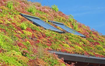 Aston By Stone living roof systems