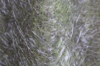 Aston By Stone fibreglass roof work